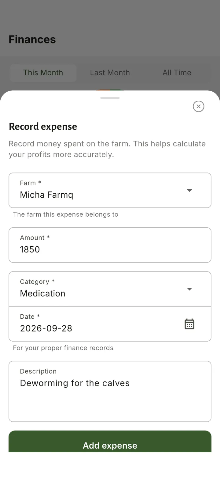 Record an expense