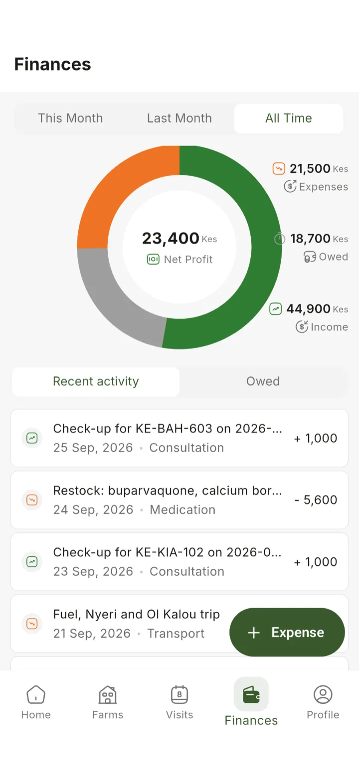 Finances with net profit, income and expenses